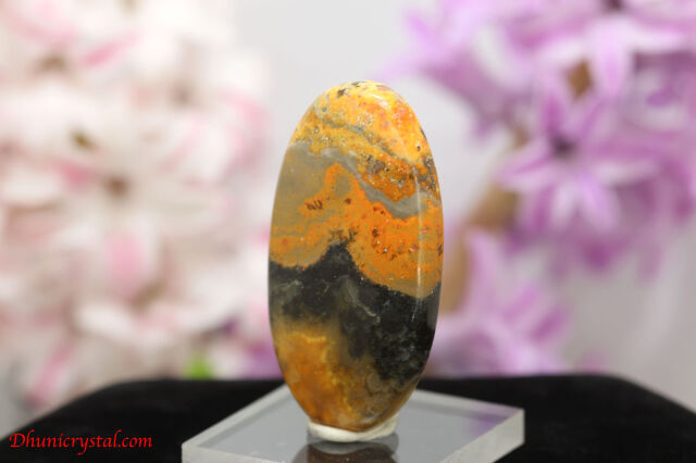 バンブルビージャスパー