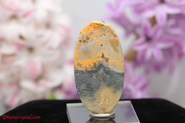 バンブルビージャスパー