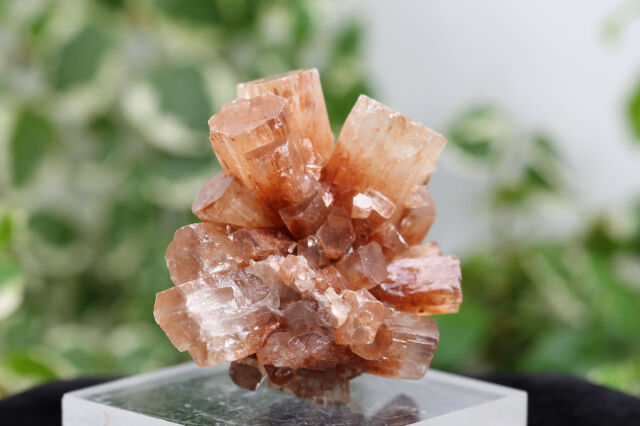 アラゴナイトクラスター(G873)