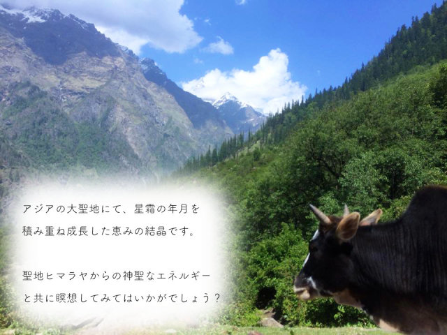 強力浄化】ヒマラヤ産⭐特大！虹入り！水晶スフィア⭐N96