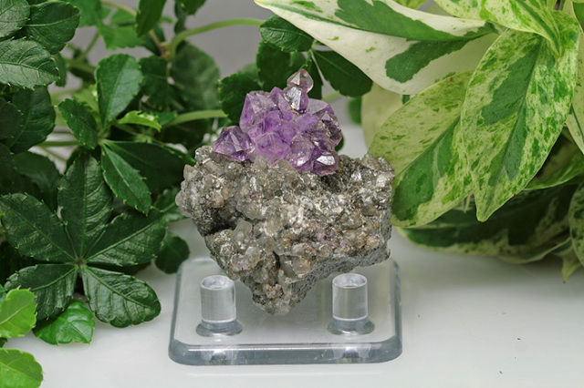 【SOLDOUT】エレスチャル　フラワーアメジスト/セプター(k352)