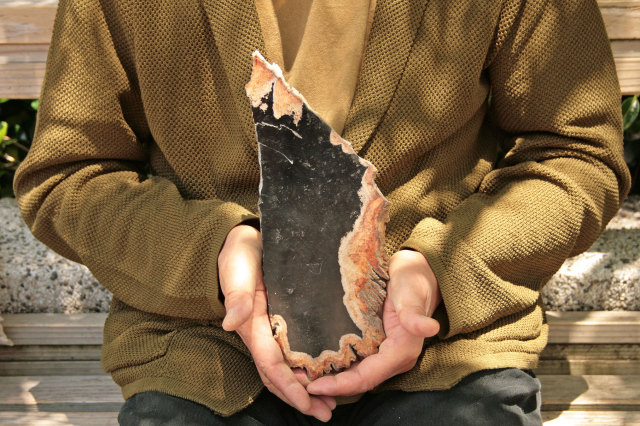 ペトリファイドウッド/珪化木