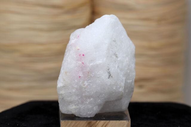 スピネル結晶/母岩付き(P366)