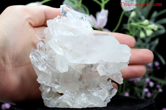 水晶クラスター/アーカンソー産(P561)