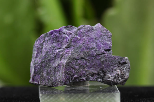 【SOLDOUT】スギライト/原石(R362)