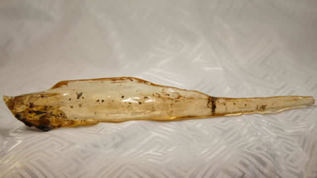 虫入りコパル(アンバー)/虫入り琥珀/未研磨(S102)