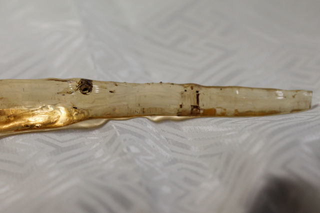 虫入りコパル(アンバー)/虫入り琥珀/未研磨(S102)