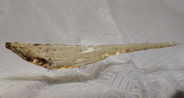 虫入りコパル(アンバー)/虫入り琥珀/未研磨(S104)