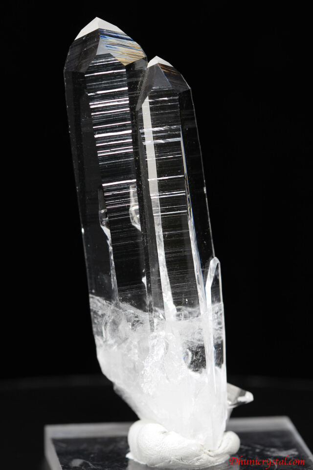 コロンビアンレムリアン