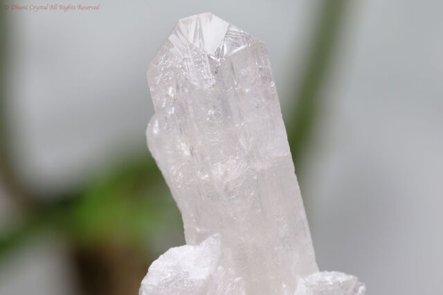 ダンビュライト