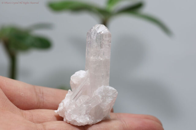 ダンビュライト