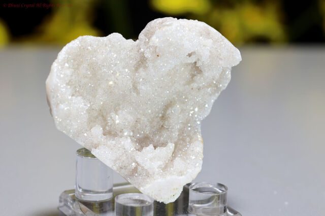 t104-2.jpg?t=20250803140446