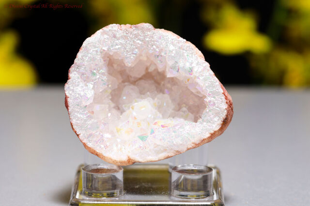 エンジェルオーラ・ドゥルージー(T105)