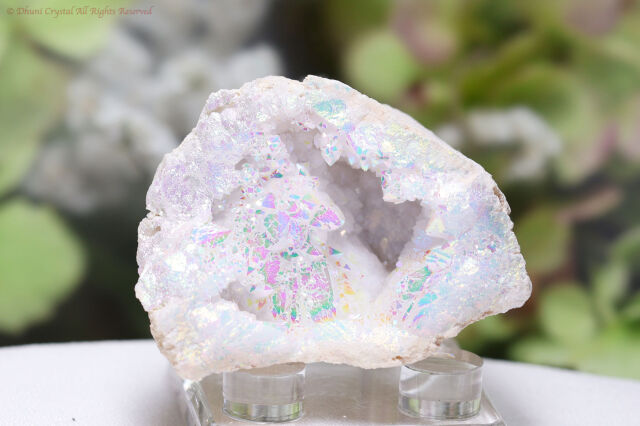 エンジェルオーラ・ドゥルージー(T107)