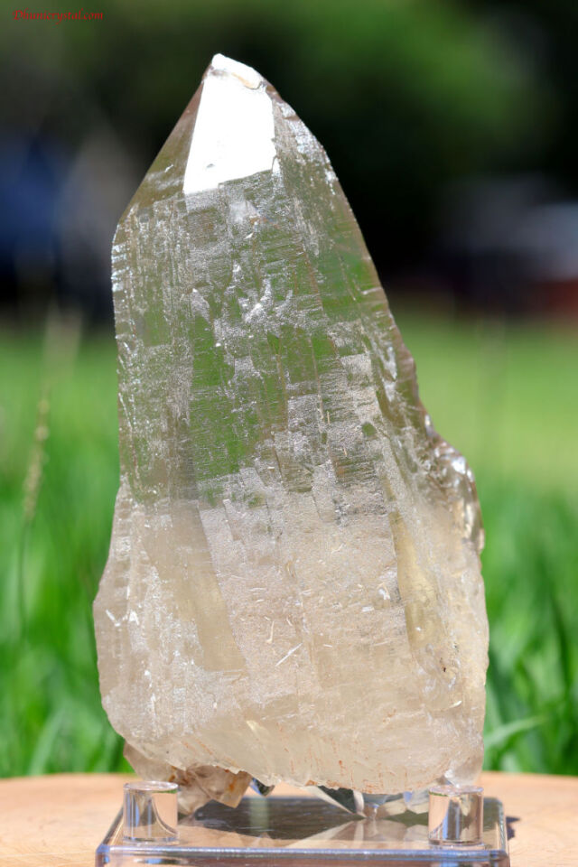 【最終値下げ】シトリン　原石 最終値下げ】シトリン 原石 【公式通販】