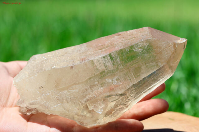 天然 シトリン エレスチャル 原石 シトリン・エレスチャル原石/ダブルターミネート(T162)