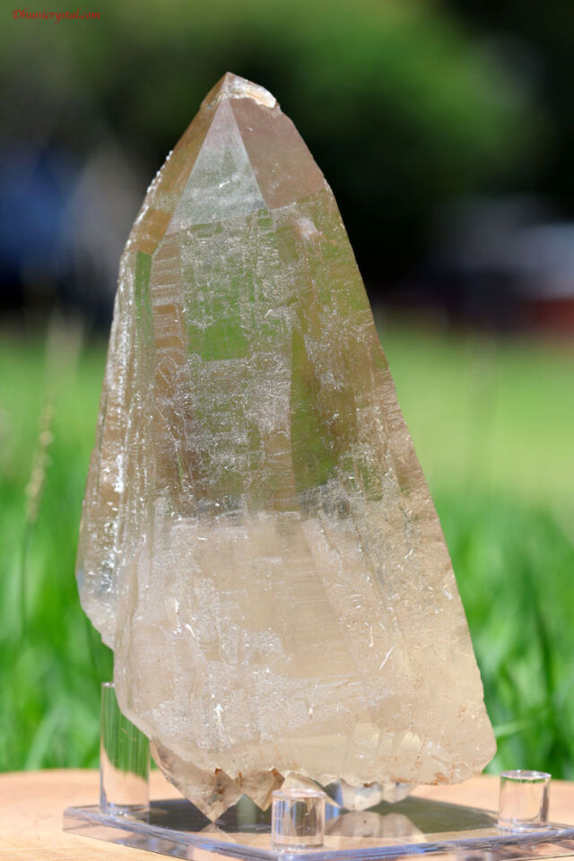 シトリン・エレスチャル原石/ダブルターミネート(T162)