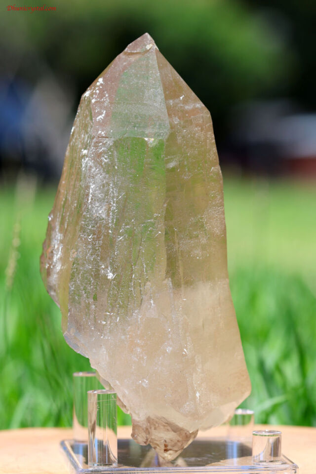 天然 シトリン エレスチャル 原石 シトリン・エレスチャル原石/ダブルターミネート(T162)