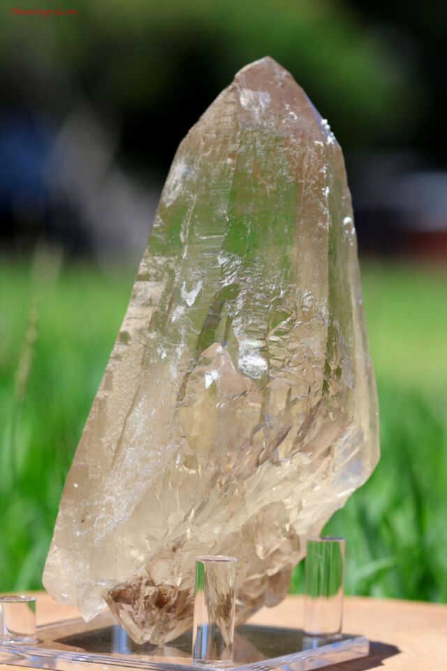 天然 シトリン エレスチャル 原石 シトリン・エレスチャル原石/ダブルターミネート(T162)