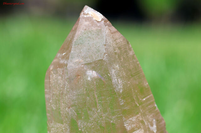 シトリン・エレスチャル原石/ダブルターミネート(T162)