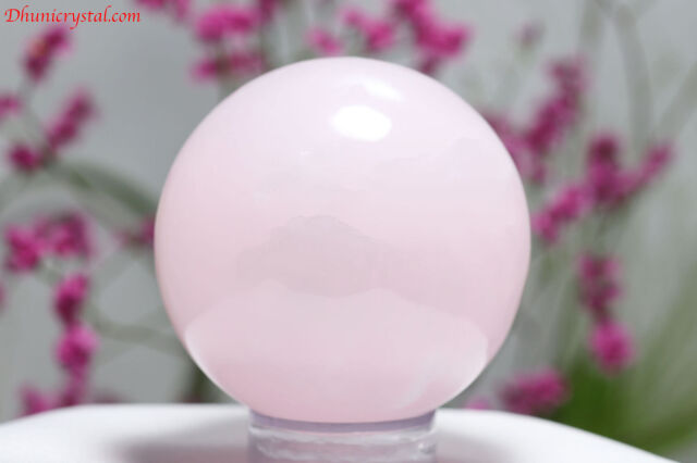 t216-2.jpg?t=20250823115528