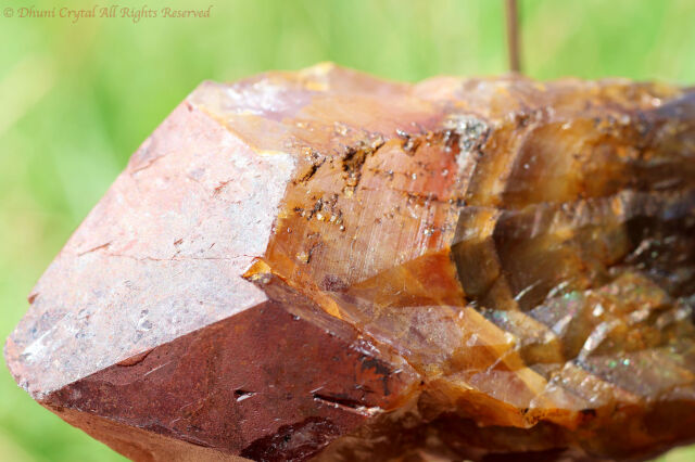 ゴールデン・オーラスターライト23原石(新オーラライト23)/(T233)