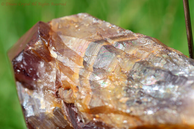 天然　ゴールデンオーラ　原石　希少 ゴールデン・オーラスターライト23原石(新オーラライト23)/(T233)