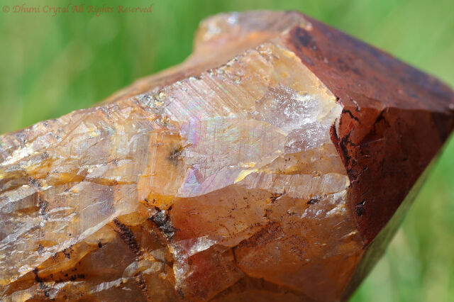 ゴールデン・オーラスターライト23原石(新オーラライト23)/(T233)