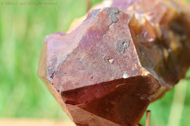 天然　ゴールデンオーラ　原石　希少 ゴールデン・オーラスターライト23原石(新オーラライト23)/(T233)