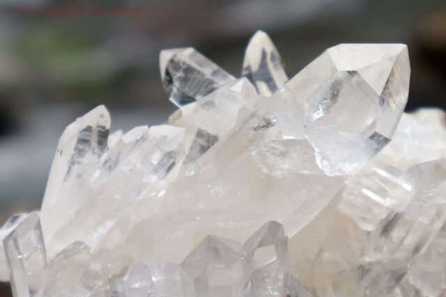 高品質アーカンソー産 水晶 クラスター C アーカンソー産 水晶クラスター | 石の魔法