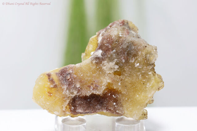 イエロー・フローライト原石/スペイン産(T242)