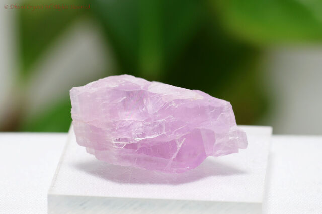 【SOLDOUT】クンツァイトの原石(T246)