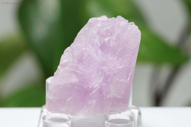 クンツァイトの原石(T247)