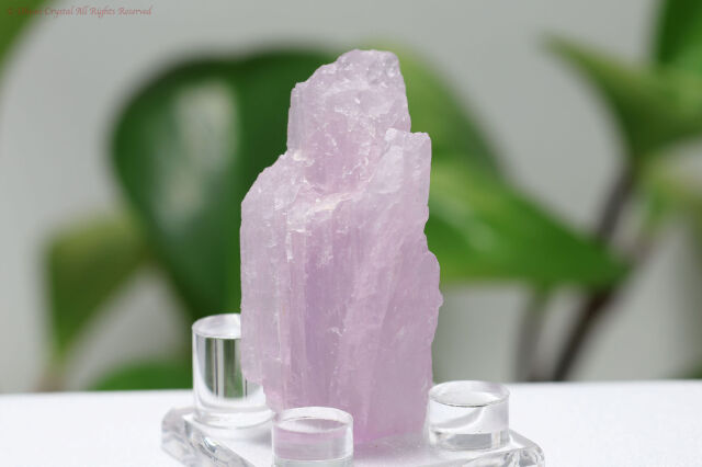 クンツァイトの原石(T248)