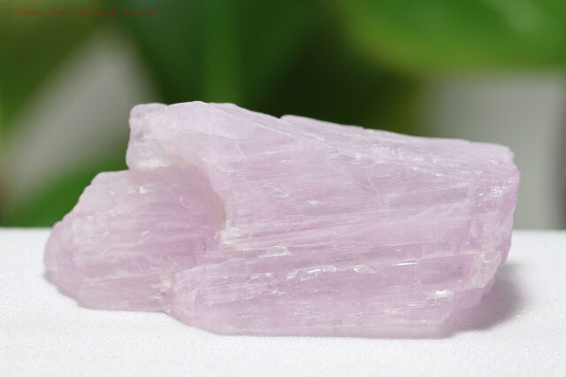 クンツァイトの原石(T248)