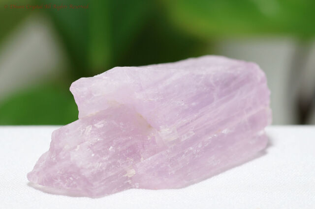 クンツァイトの原石(T248)