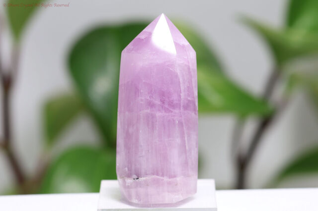 クンツァイトのオベリスク(T251)