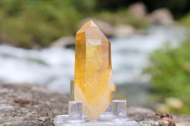 天然のオーラ　黄金の治癒者　ゴールデンヒーラー　水晶　クラスター　アーカンソー産 アーカンソー産水晶 クリスタルクォーツ