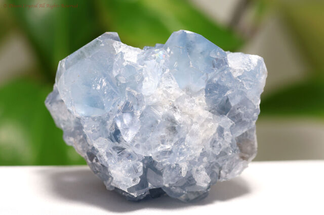 セレスタイト原石/天青石(A594)