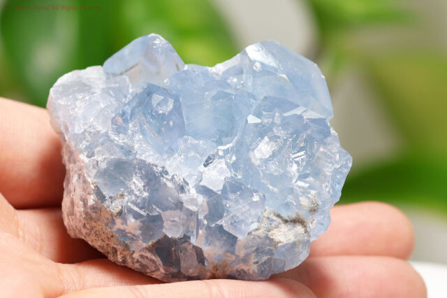 セレスタイト原石/天青石(A594)