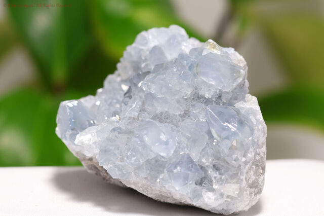 セレスタイト原石/天青石(A595)