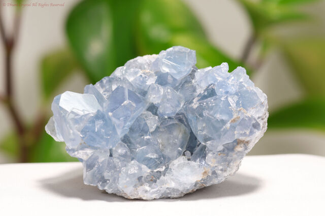 【SOLDOUT】セレスタイト原石/天青石(T279)