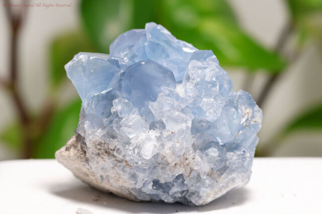 【SOLDOUT】セレスタイト原石/天青石(T280)