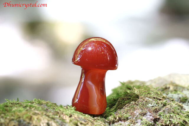 【SOLDOUT】カーネリアンのきのこ(T304)