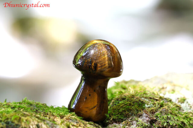 【SOLDOUT】タイガーアイのきのこ(T305)