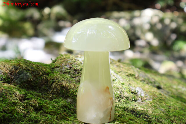 t308-2.jpg?t=20250908135556