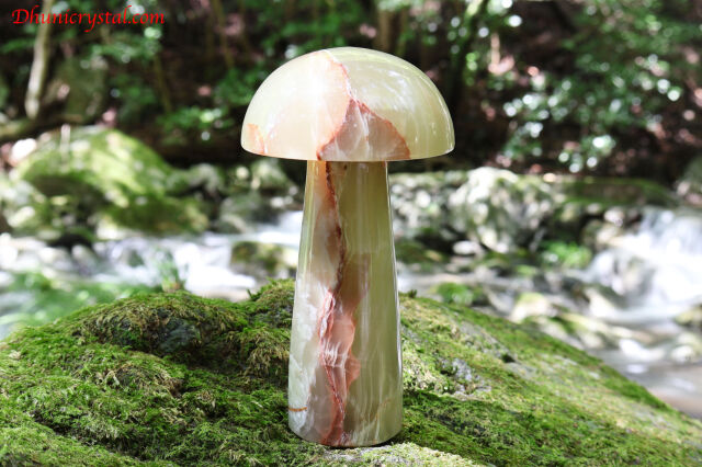 t309-3.jpg?t=20250908135528