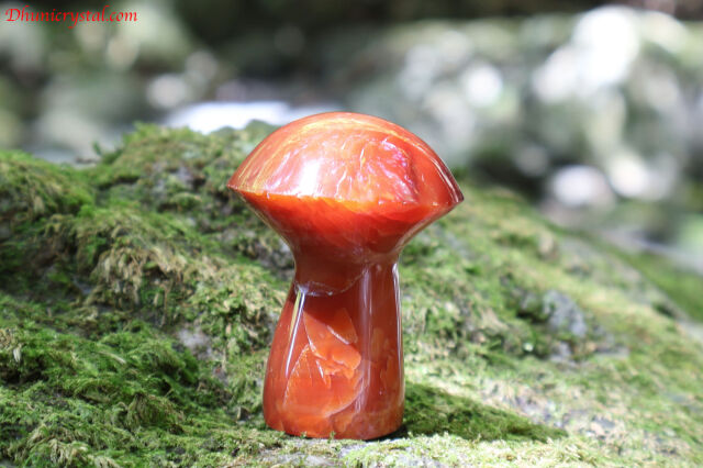 【SOLDOUT】カーネリアンのきのこ(T310)