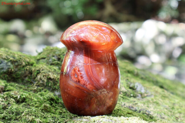 【SOLDOUT】カーネリアンのきのこ(T311)