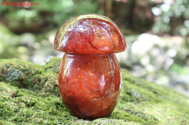 【SOLDOUT】カーネリアンのきのこ(T312)